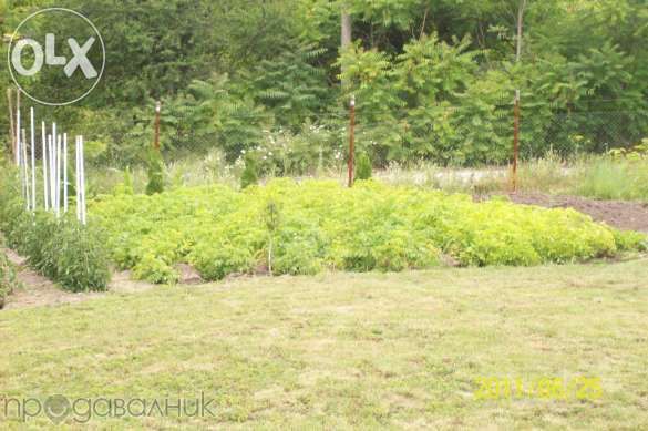 Продава се Къща в с. Крумово, Област Варна - 55 кв.м за 819 €/кв.м - Снимка #16