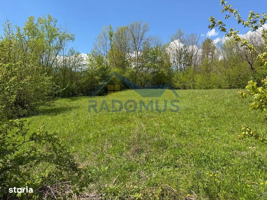 Teren Intravilan  – Provița de Jos | 1.939 mp | Curent electric