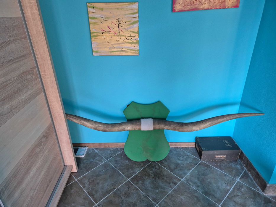 Vând trofeu deosebit