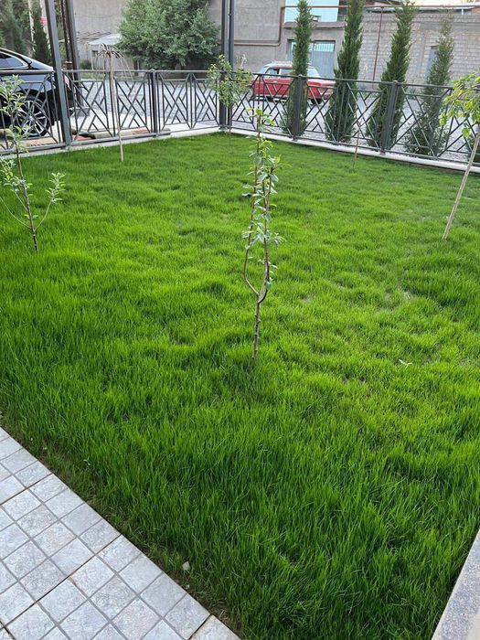 Газон + ланшафт + палив хизмати мавжуд 100% гарантия  халол