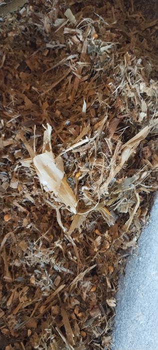 Донли силос donli silos