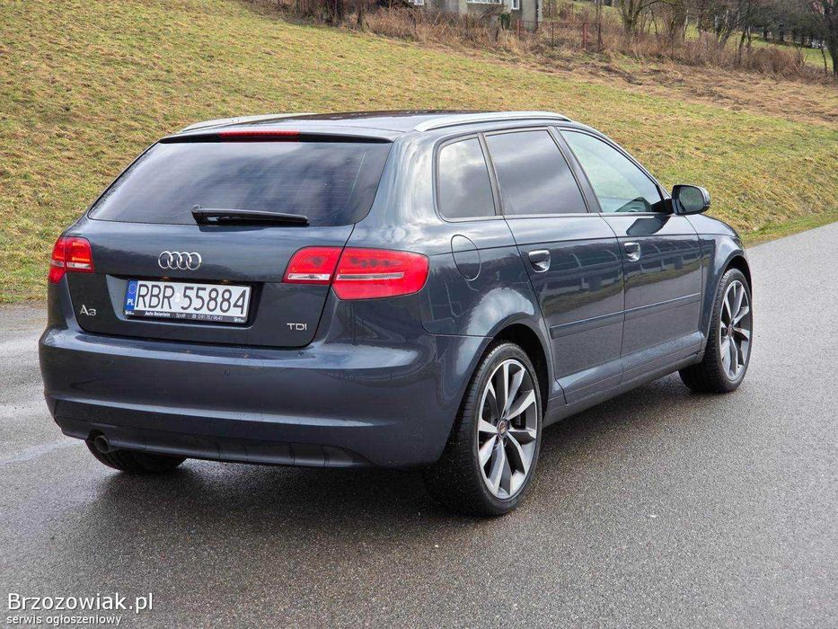 Audi A3 8P 2008-2012 PIESE AUTO