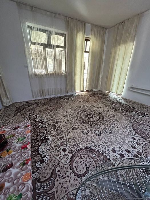 Срочна котта учскамиза сотуга чикти