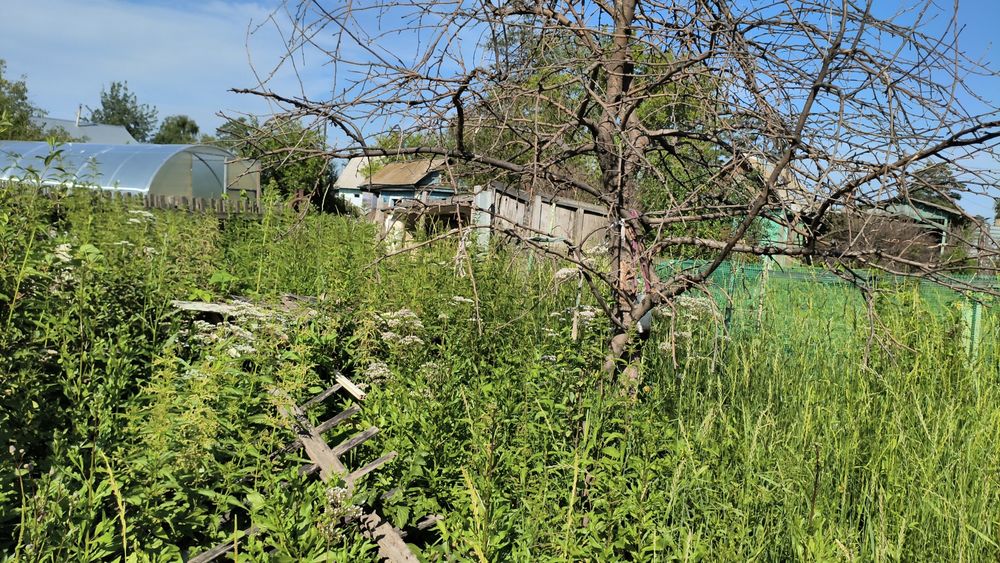 Продам дачу сообщество " Локомотив"