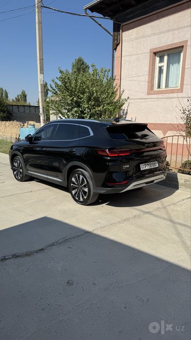 Byd champion smart