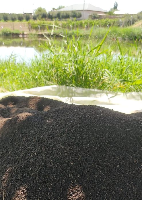 Биогумус удобрение тынайткыш новоз