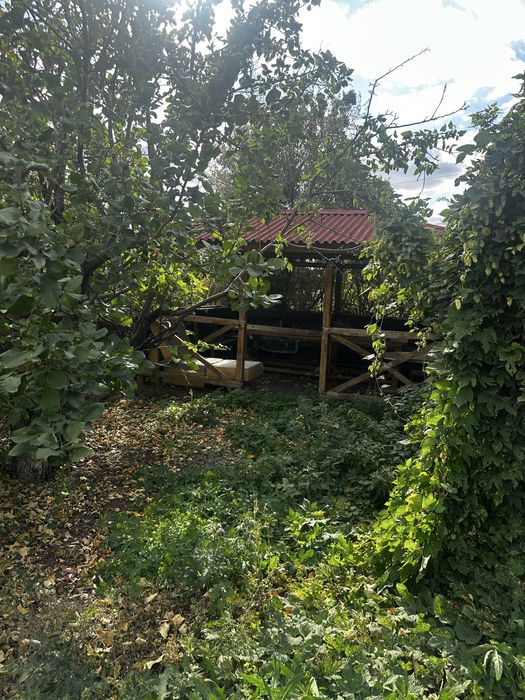 Продам дачу с домом и участком