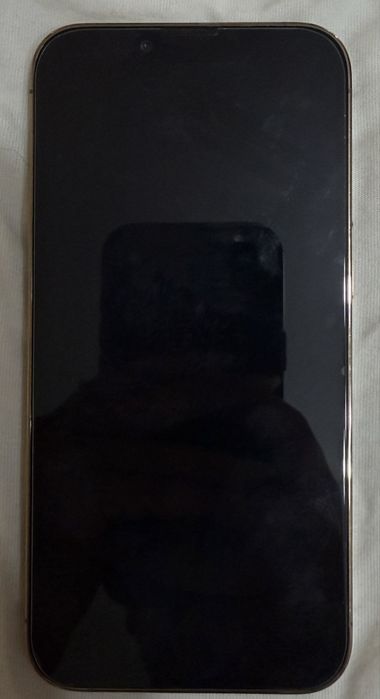 iPhone 13 Pro. 256
