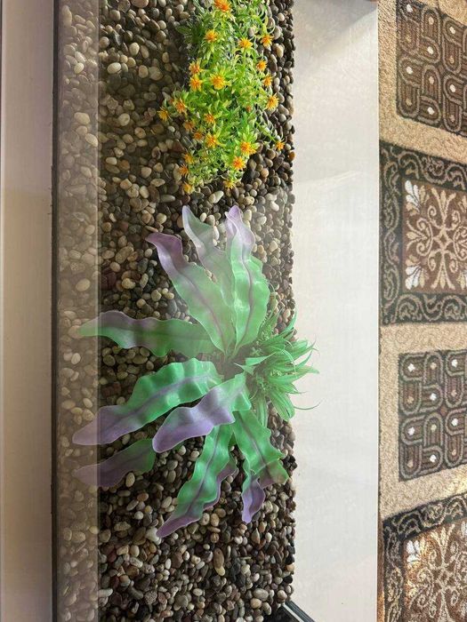 Аквариум (барча комплекти билан бирга)