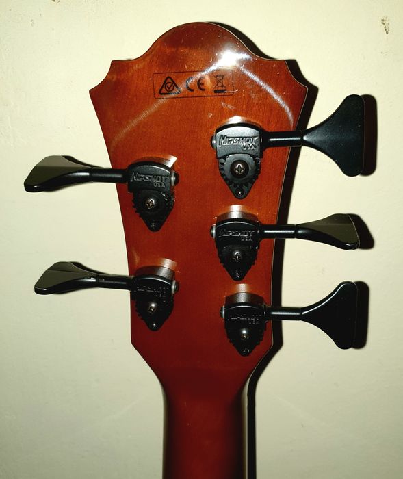 Електроакустичен бас Ibanez aeb 105e nt