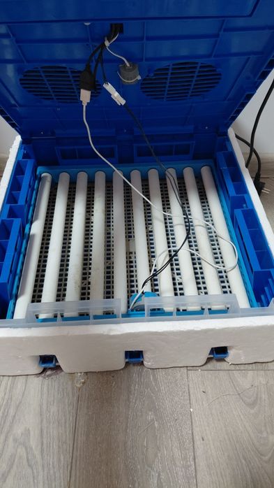 Инкубатор 64 яйцо