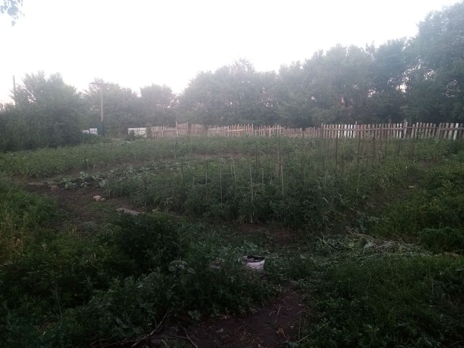 Продам дом, участок 20 соток