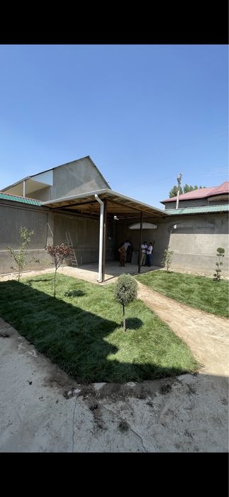 Газон экамиз gazon ekamiz рулон ва уругдан 100% гарантия