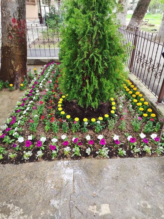 Gazon ekish va landshaft dizayni xizmati