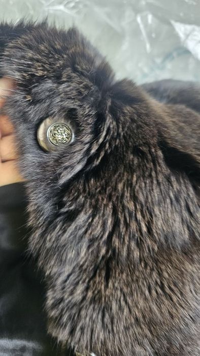 Blana naturala model Roberto Cavalli