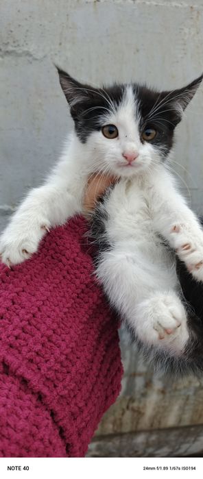 150 mingdan muwukchalar