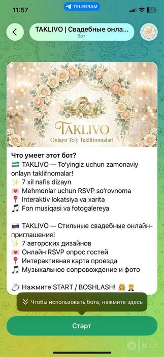 Telegram bot yaratish | Разработка ботов
