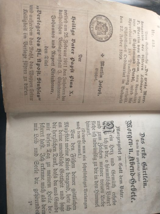 Carte veche, în limba germană."Grădina cea mare de Mir",1926
