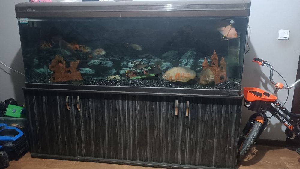 продам аквариум закваской Китай 480л