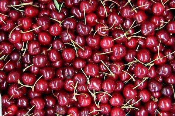 Продается саженцы вишня