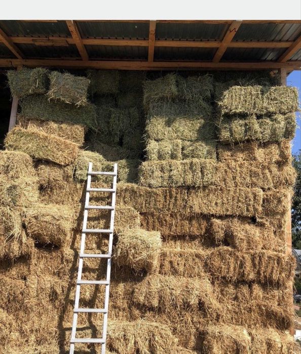 Vand baloti de lucerna