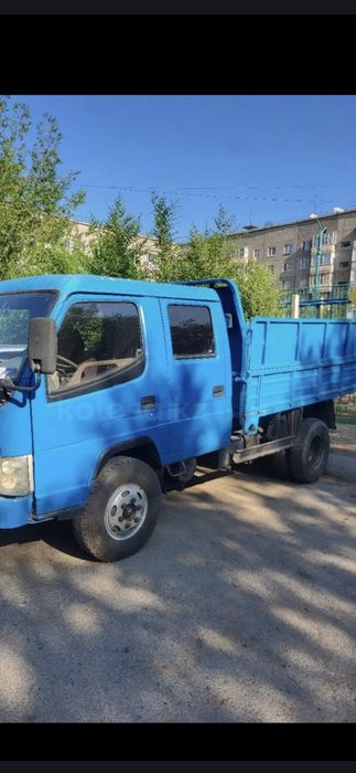 Самасвал китаец 3х тоник