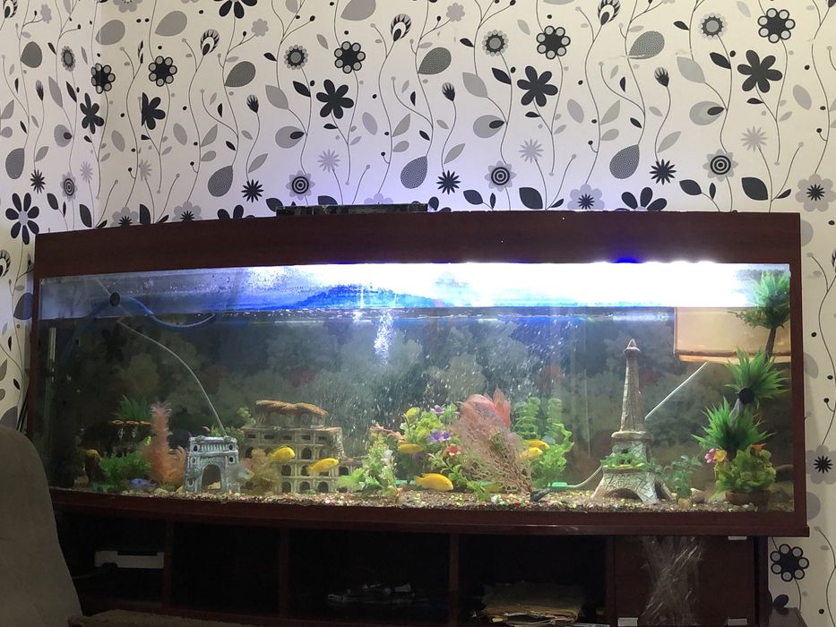 akvarium sotiladi 500 l sig’imi