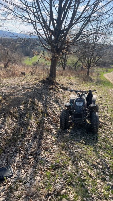 Atv 100 2t Pro Shark QUADZILLA