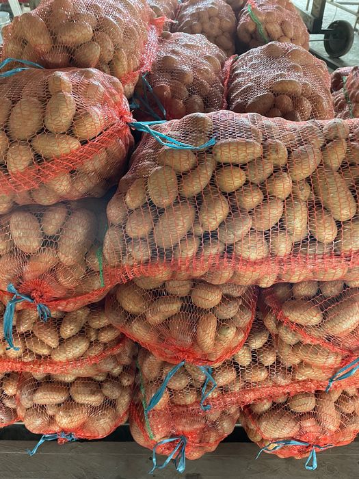 Cartofi pentru consum