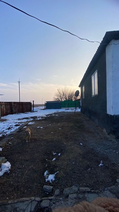 Продам дом кирпичный