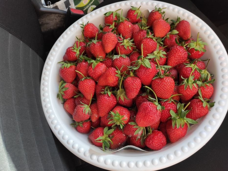 Продаётся клубника