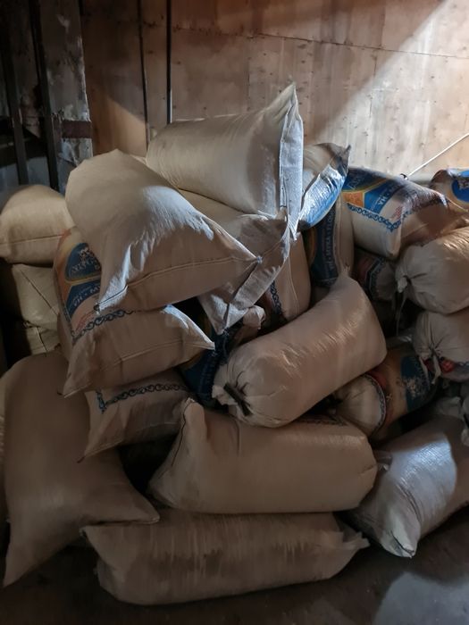 Продам сухие опилки,