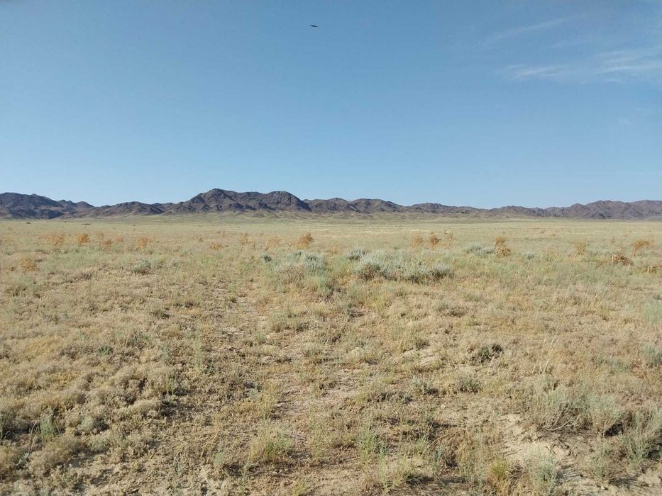 Суармалы жер 365 га