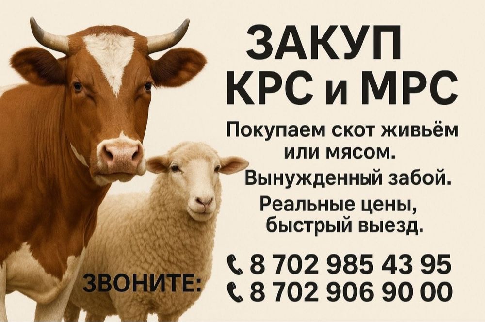 Крс мрс лошадей вынуждены забой