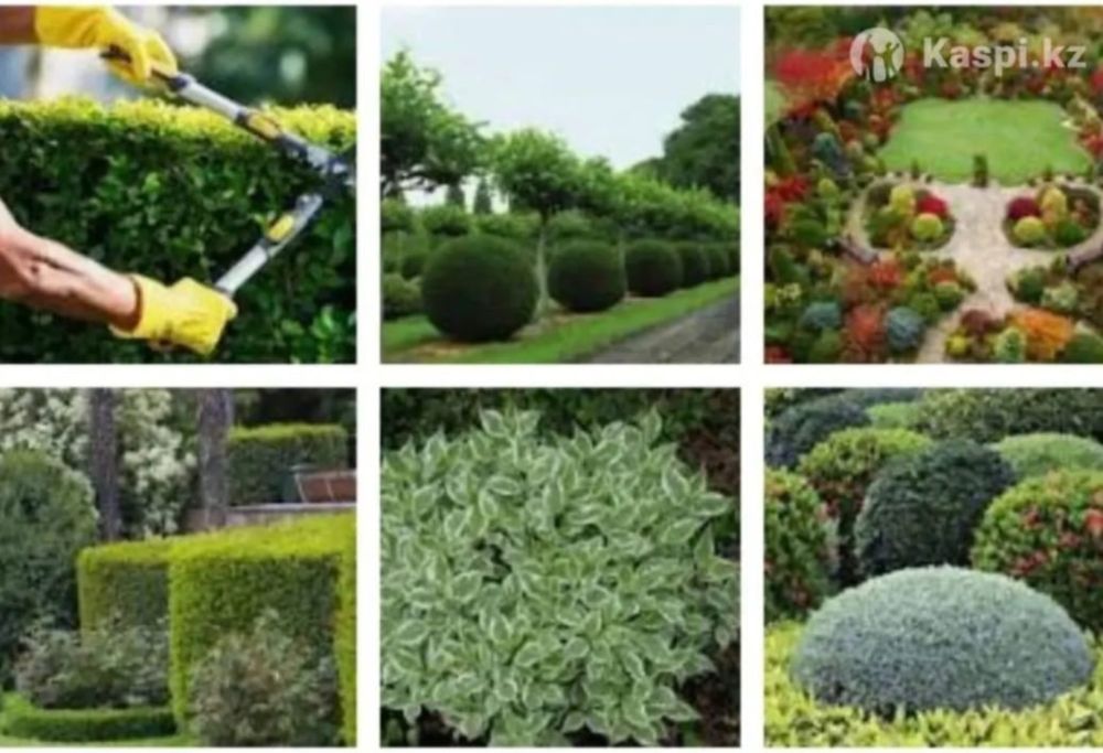 Услуги садовника!