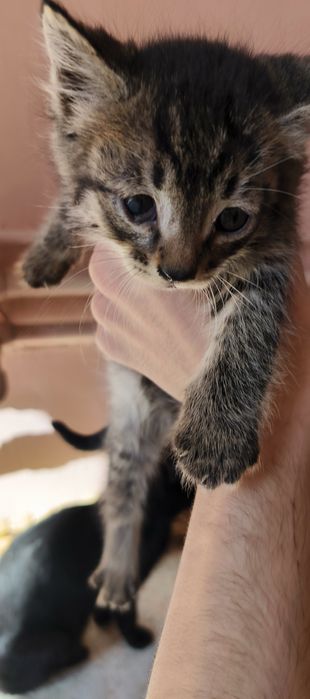 Нашли очаровательных малышей