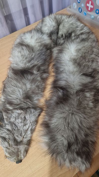 Продам мех песца