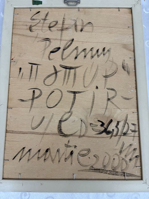 Tablou Stefan Pelmus