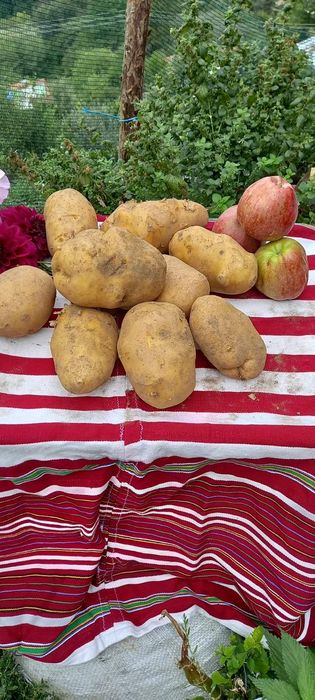 Едри картофи за пълнене!