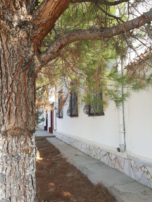 Nurota shahridan 6 sotixli hovli (kotej) sotiladi