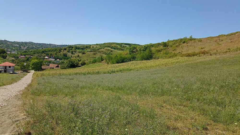 2 terenuri de vanzare Cojocna: 1-teren partial intravilan; 2-teren extravilan