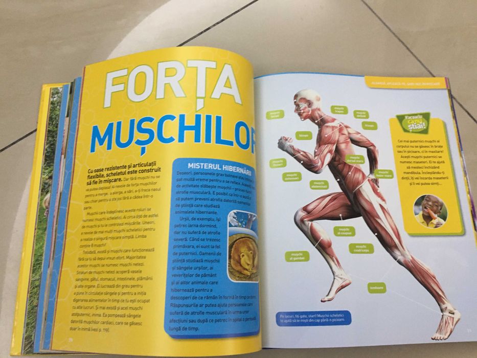 Enciclopedia Corpului Uman