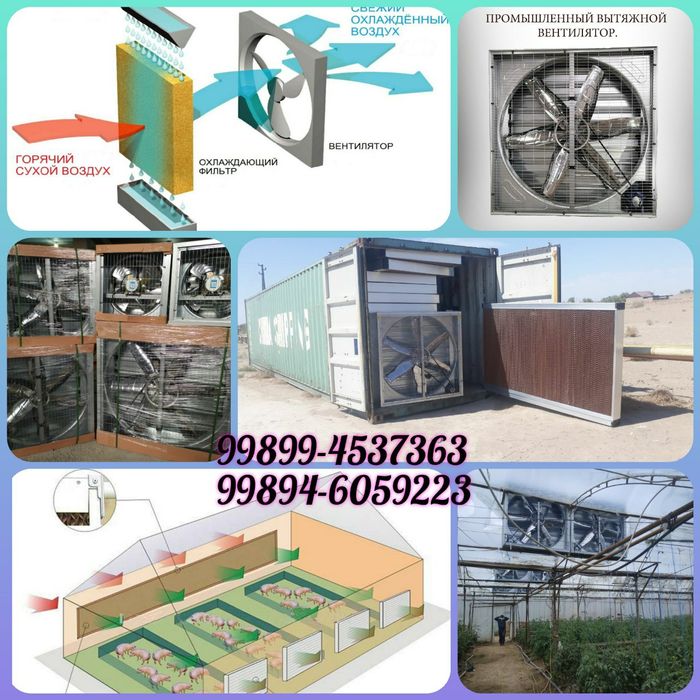 Ventlyator Teplitsa va Parranda xonalar uchun.