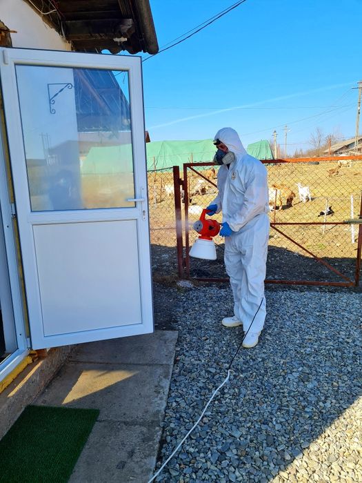 Servicii deratizare , dezinsectie , dezinfectie plosnite - gandaci