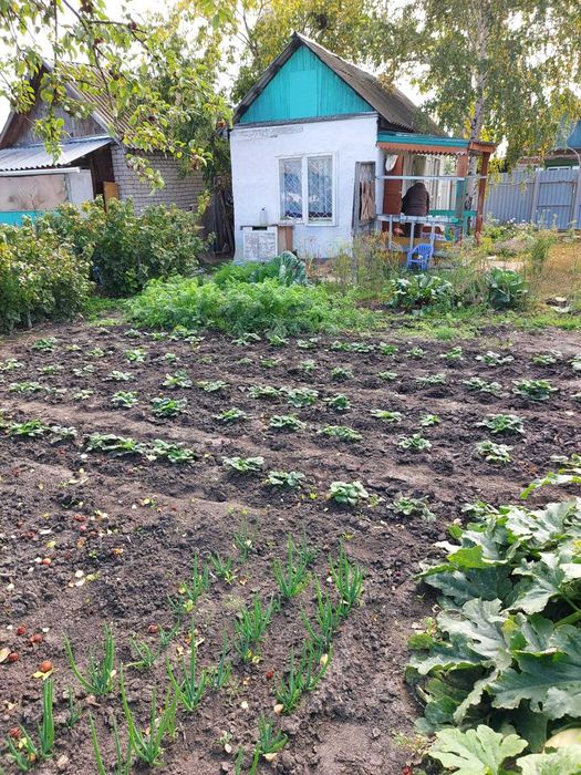 Продам дачу! Лада, р-н Новопавловки, ,ТОРГ!