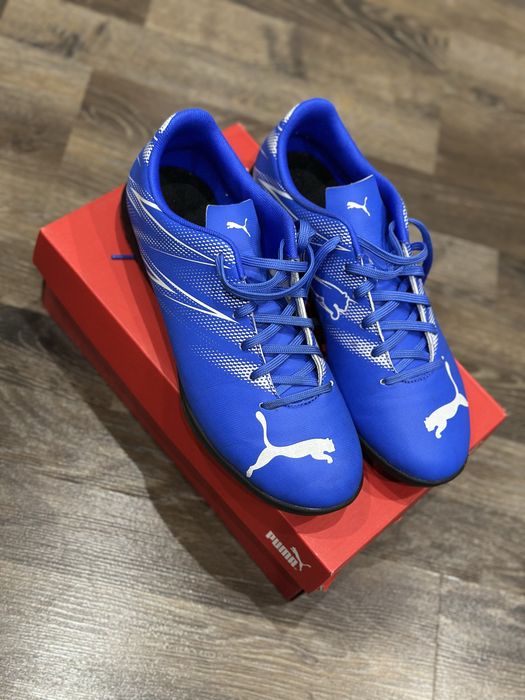 Стоножки пума…..