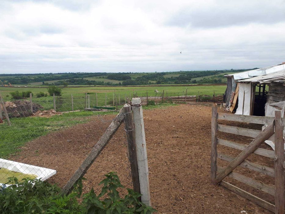 Продава се Парцел в с. Мандра, Област Хасково - 750 кв.м за 48 €/кв.м - Снимка #3