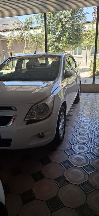 Cobalt  2020 oq top-toza