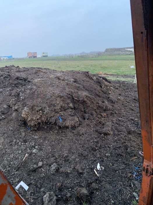 Gunoi de grajd putrezit