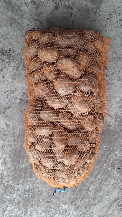 Vând cartofi consum